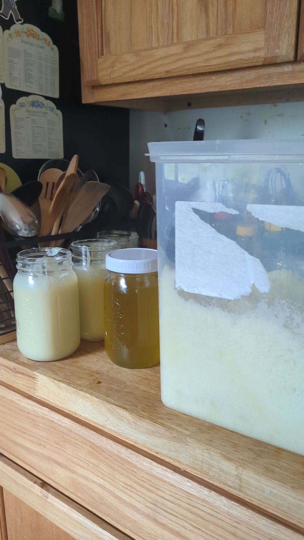Lemon balm sugar scrub 